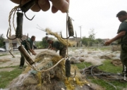 Извештај за спроведени акции на Комисијата за помош при заштита на рибниот фонд